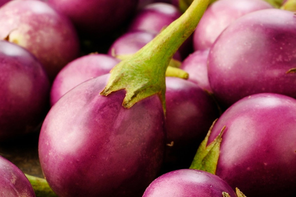 Brinjal